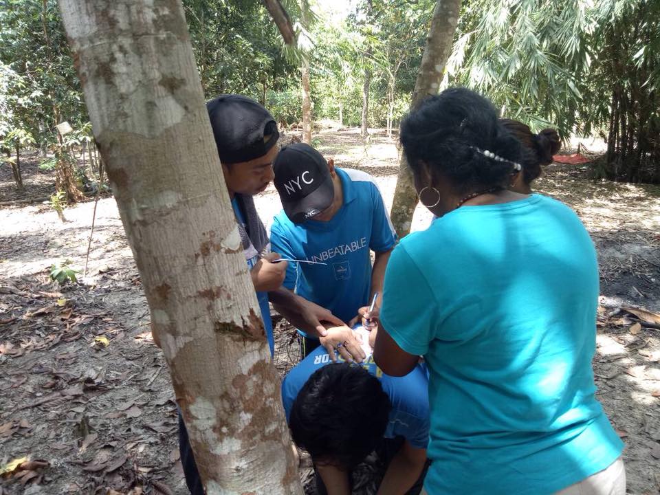 Glamping Pinang Sebatang 2018